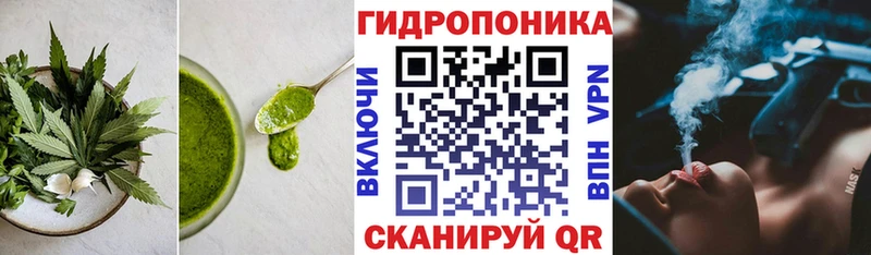 Cannafood конопля  купить закладку  это клад  Ноябрьск 