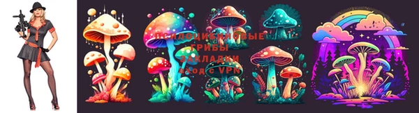 МДПВ Арсеньев