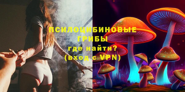 МДПВ Арсеньев