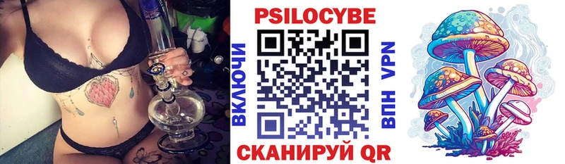 Псилоцибиновые грибы Psilocybe  Ноябрьск 